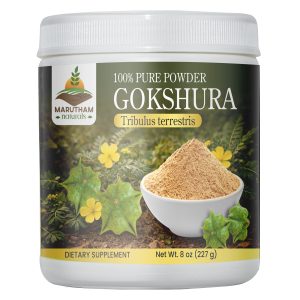 Gokshura